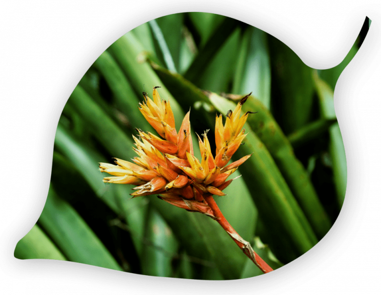 projets paysagers et espaces verts - Sylvain Thialon Paysagiste